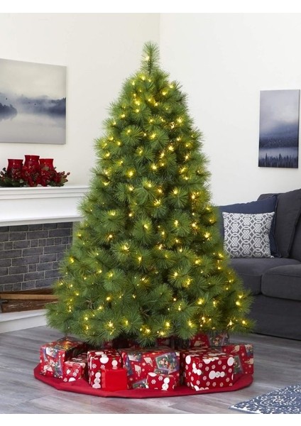 150 cm Lu x Yılbaşı Ağacı Çift Dallı Büyük Yapraklı Gür Ağaç Yılbaşı Ağacı Iskoç Gerçek Görsel