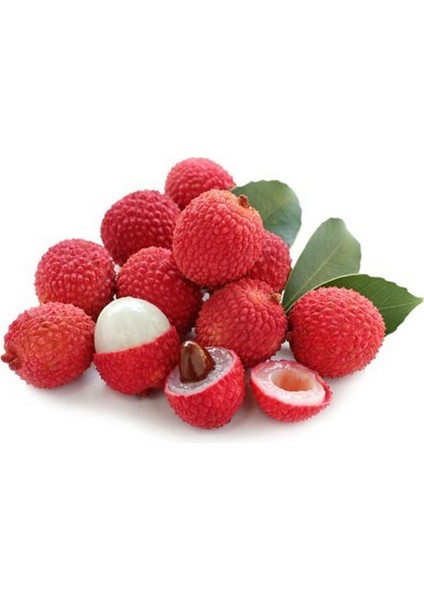 Liçi (Lychee, Litchi) Fidanı 1 YAŞ 20 CM (YERLİ ÜRETİM)