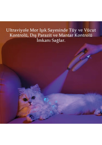 Işıklı Kedi Köpek Tırnak Makası Pet Evcil Hayvanları Uv Işınlı Törpülü Hazneli Bakterii Parazit Tırnak Içi Damarları Görme indirimleri
