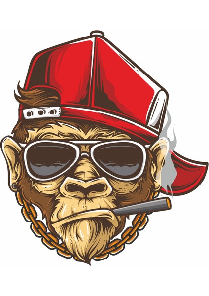 Şapkalı Maymun Sticker Araba Oto Motosiklet Karavan Sticker 00251