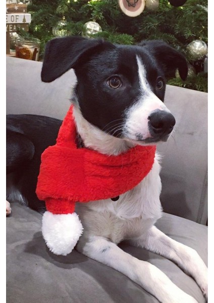 Kırmızı Renkli Köpek Atkısı S M L Beden Seçenekleri ile Yılbaşı Temalı Köpek Aksesuarı fırsatları