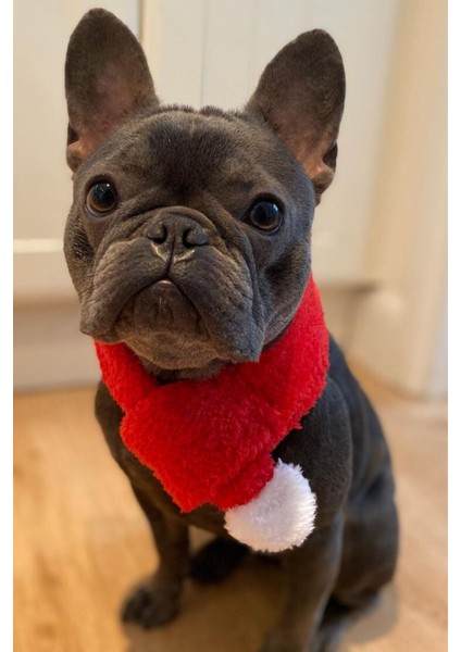 Kırmızı Renkli Köpek Atkısı S M L Beden Seçenekleri ile Yılbaşı Temalı Köpek Aksesuarı indirimleri