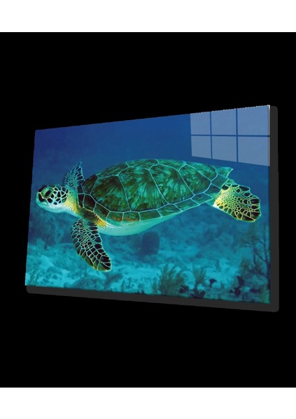 Deniz Kaplumbağası Cam Tablo Sea Turtle