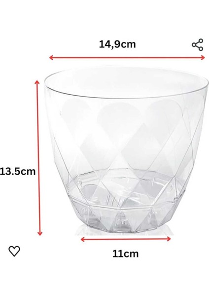 Yakamoz Orkide No 2 Saksı