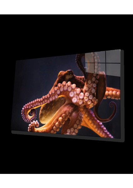 Ahtapot Sualtı Canlıları Cam Tablo octopus