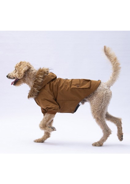 Camel Chrles Büyük Irk Yağmurluk fırsatları