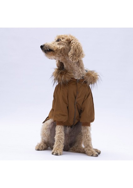 Camel Chrles Büyük Irk Yağmurluk indirimleri