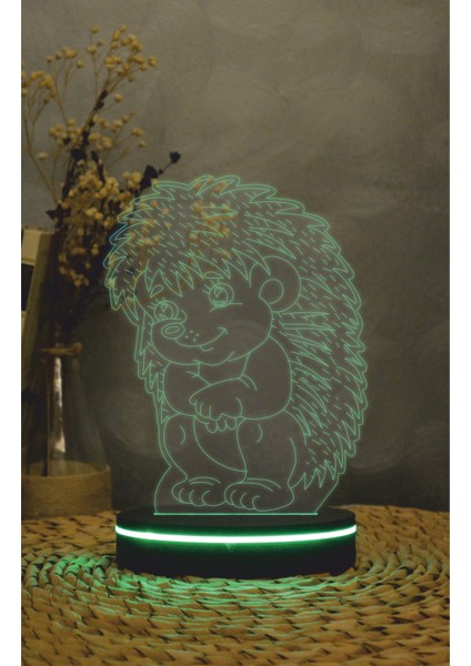Kirpi - 3 Boyutlu Led Lamba 16 Renk Dekoratif Anime Gece Lambası 3d