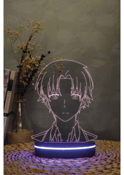 Kiyotaka Ayakonoji , Classroom Of The Elite - 3 Boyutlu 16 Renk Dekoratif Gece Lambası 3d modelleri