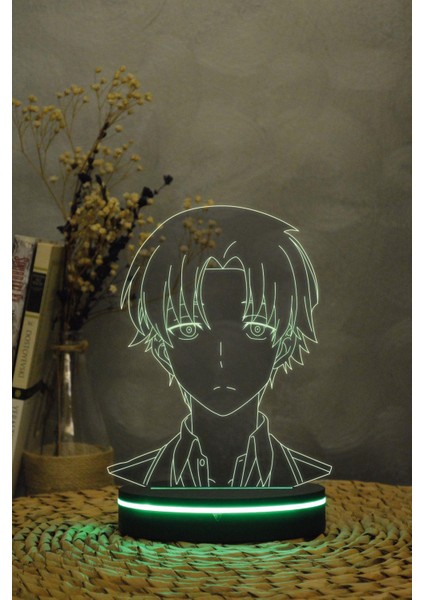Kiyotaka Ayakonoji , Classroom Of The Elite - 3 Boyutlu 16 Renk Dekoratif Gece Lambası 3d indirimleri