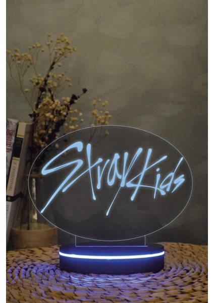 Stray Kids - 3 Boyutlu 16 Renk Dekoratif Gece Lambası 3d fiyatları