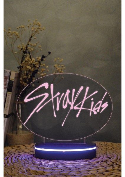 Stray Kids - 3 Boyutlu 16 Renk Dekoratif Gece Lambası 3d modelleri