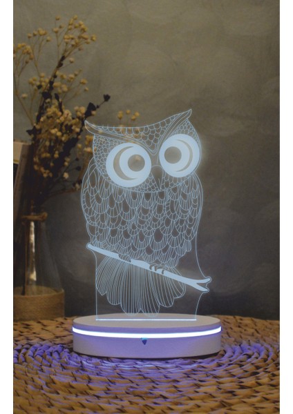 Baykuş - 3 Boyutlu Led Lamba 16 Renk Dekoratif Anime Gece Lambası 3d