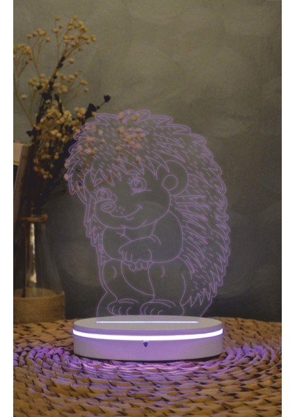 Kirpi - 3 Boyutlu Led Lamba 16 Renk Dekoratif Anime Gece Lambası 3d