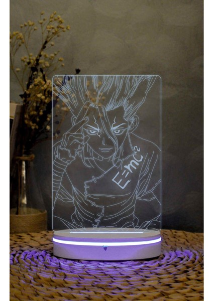 Senku Ishigami , Dr. Stone - 3 Boyutlu Led Lamba 16 Renk Dekoratif Anime Gece Lambası 3d modelleri