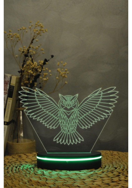 Baykuş 3 Boyutlu 16 Renk Dekoratif Gece Lambası 3d