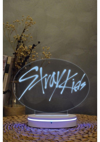 Stray Kids - 3 Boyutlu 16 Renk Dekoratif Gece Lambası 3d