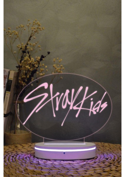 Stray Kids - 3 Boyutlu 16 Renk Dekoratif Gece Lambası 3d