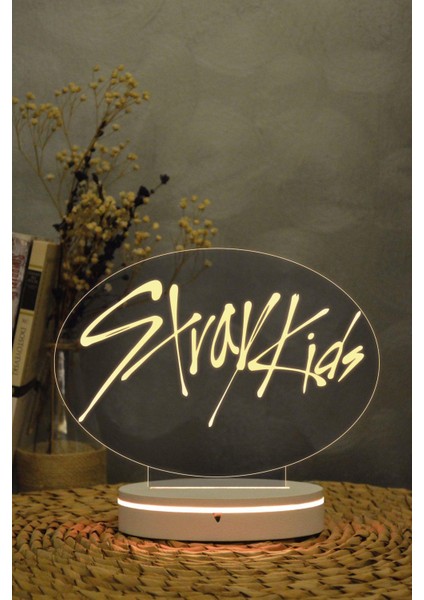 Stray Kids - 3 Boyutlu 16 Renk Dekoratif Gece Lambası 3d
