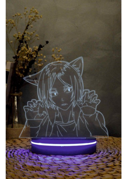 Kenma Kozume , Haikyuu - 3 Boyutlu LED Lamba 16 Renk Dekoratif Anime Gece Lambası 3D fiyatları
