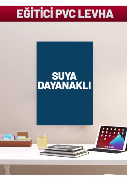Çocuklar Için Eğitici Pvc Posterler