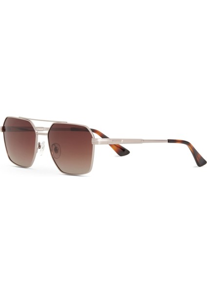 Ds 2362 C2 Pilot Havana Erkek Güneş Gözlüğü