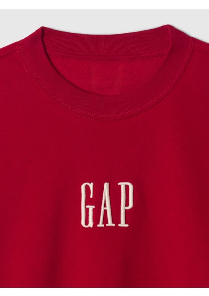 Erkek Kırmızı Logo Vintage Soft Fleece Sweatshirt modelleri