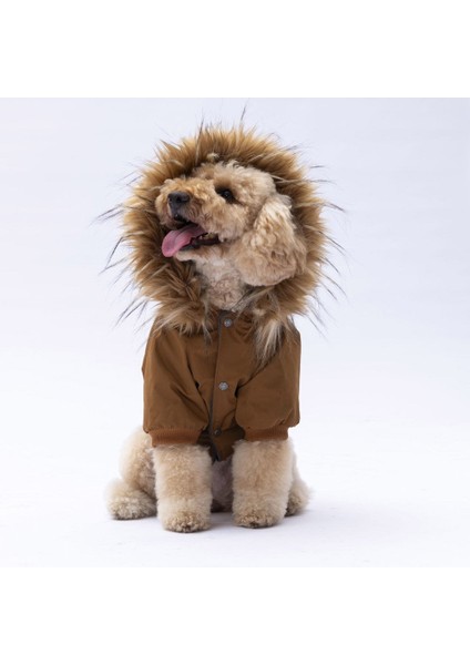 Camel Charles Yağmurluk Küçük ve Orta Irk fiyatları