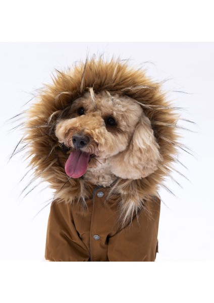 Camel Charles Yağmurluk Küçük ve Orta Irk modelleri