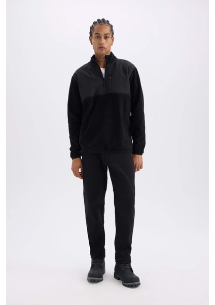 Fit Standart Fit Dik Yaka Fermuarlı Polar Sporcu Sweatshirt D9226AX24WN