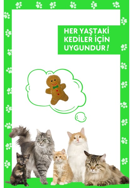 Yılbaşı Temalı Kedi Oyuncağı Hışırtı Sesli Peluş Kurabiye - Gingerbread Sesli Kedi Oyuncağı