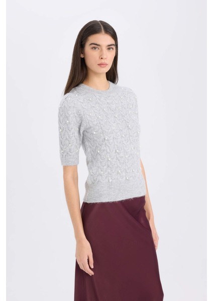 Regular Fit Bisiklet Yaka Basic Düz Yarım Kollu Triko Kazak D6205AX24WN