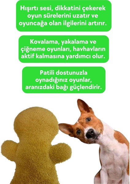Yılbaşı Kurabiyesi Peluş Köpek Oyuncağı Hışırtı Sesli Peluş Kurabiye Köpek Oyuncağı