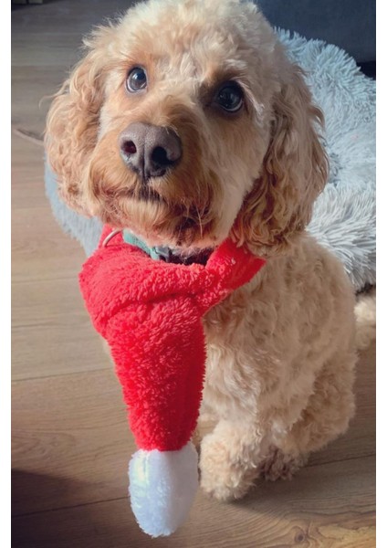 Kırmızı Renkli Köpek Atkısı S M L Beden Seçenekleri ile Yılbaşı Temalı Köpek Aksesuarı