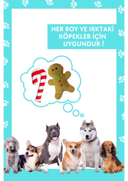 Havrika Yıllar Köpek Oyuncak Seti Hışırtılı Peluş Kurabiye, Vikvikli Peluş Şeker Köpek Oyuncakları Yılbaşı Hediyesi indirimleri