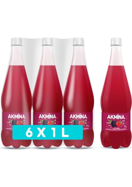 Akmina B Vitaminli Karadut u0026 Frenk Üzümü Aromalı Maden Suyu 1 L X6 Adet