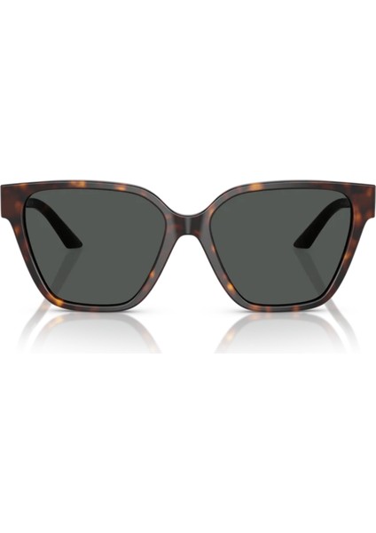 Güneş Gözlüğü Versace VE4471B 108/8756