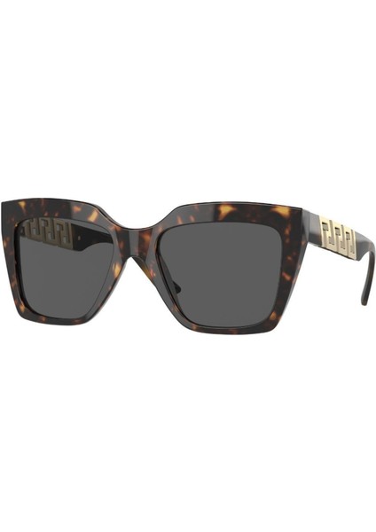 Güneş Gözlüğü Versace VE44185610887 fiyatları