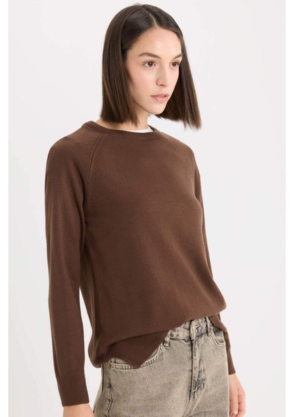 Regular Fit Yumuşak Dokulu Bisiklet Yaka Basic Düz Triko Kazak I6913AZ24WN