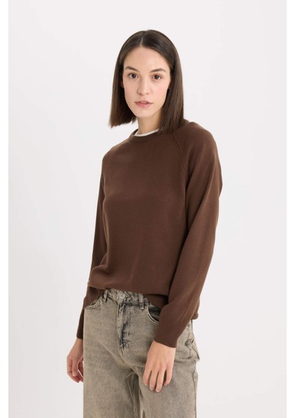 Regular Fit Yumuşak Dokulu Bisiklet Yaka Basic Düz Triko Kazak I6913AZ24WN modelleri