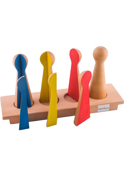 Montessori Kesir Kukası ve Tablası