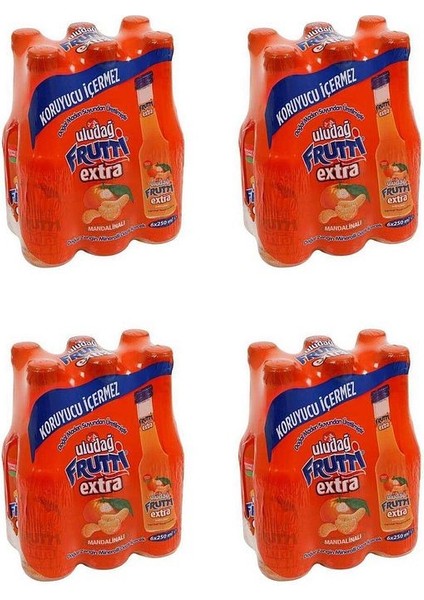 Frutti Extra Mandalinalı 250 ml x 24 Adet