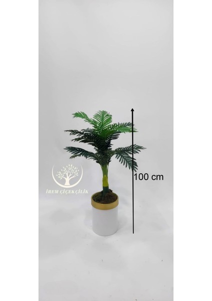 Beyaz Gold Saksıda Küçük Yeni Areka 100 cm - Premium fiyatları