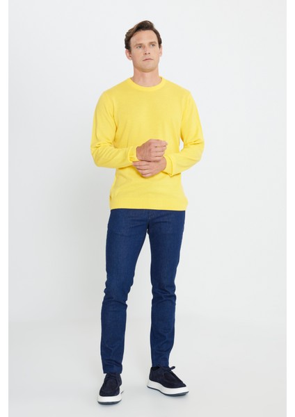 AC&Co / Altınyıldız Classics Erkek Sarı Standart Fit Normal Kesim Bisiklet Yaka Triko