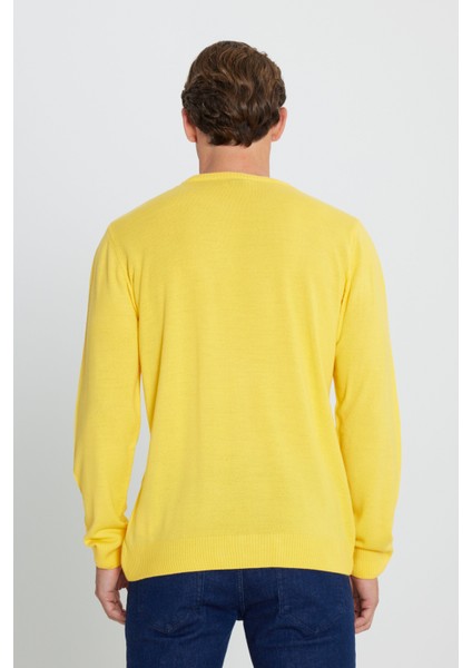 AC&Co / Altınyıldız Classics Erkek Sarı Standart Fit Normal Kesim Bisiklet Yaka Triko