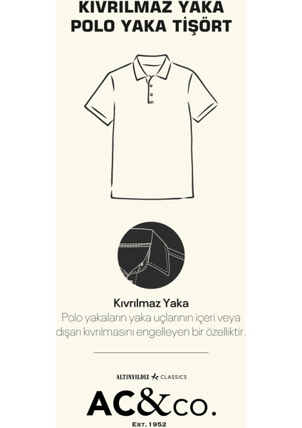 AC&Co / Altınyıldız Classics Erkek Açık Mavi Slim Fit Dar Kesim %100 Pamuk Kıvrılmaz Polo Yaka Tişört