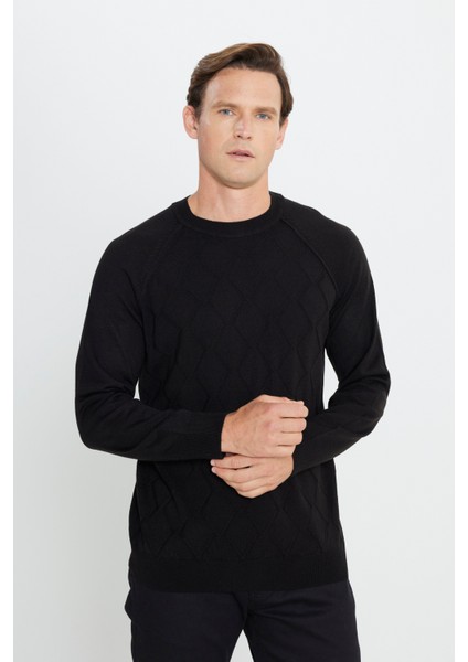 ALTINYILDIZ CLASSICS Erkek Siyah Standart Fit Normal Kesim Bisiklet Yaka Jakarlı Triko Kazak fiyatları