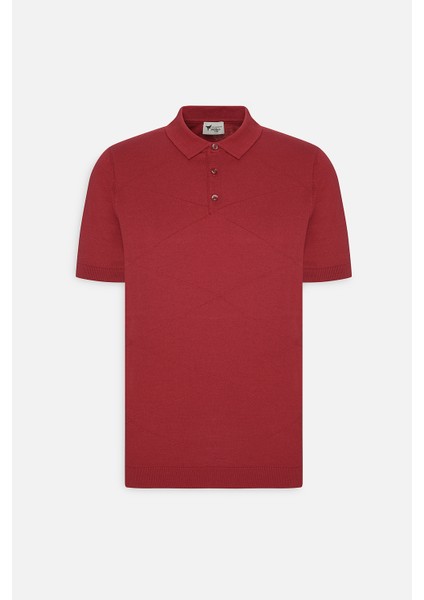 AC&Co / Altınyıldız Classics Erkek Bordo Standart Fit Normal Kesim %100 Pamuk Jakarlı Polo Yaka Triko Tişört