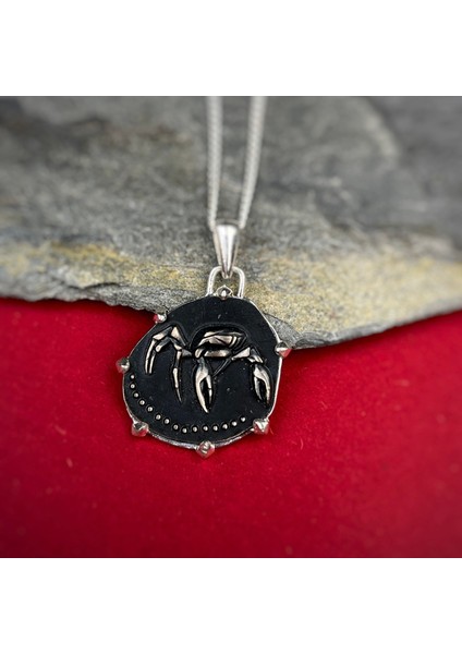 Gümüş Yengeç Burcu Kolye 925 Ayar Gümüş Unisex Yengeç Burç Taşsız Özel Tasarım Yengeç Figürlü Kolye