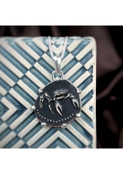 Gümüş Yengeç Burcu Kolye 925 Ayar Gümüş Unisex Yengeç Burç Taşsız Özel Tasarım Yengeç Figürlü Kolye modelleri